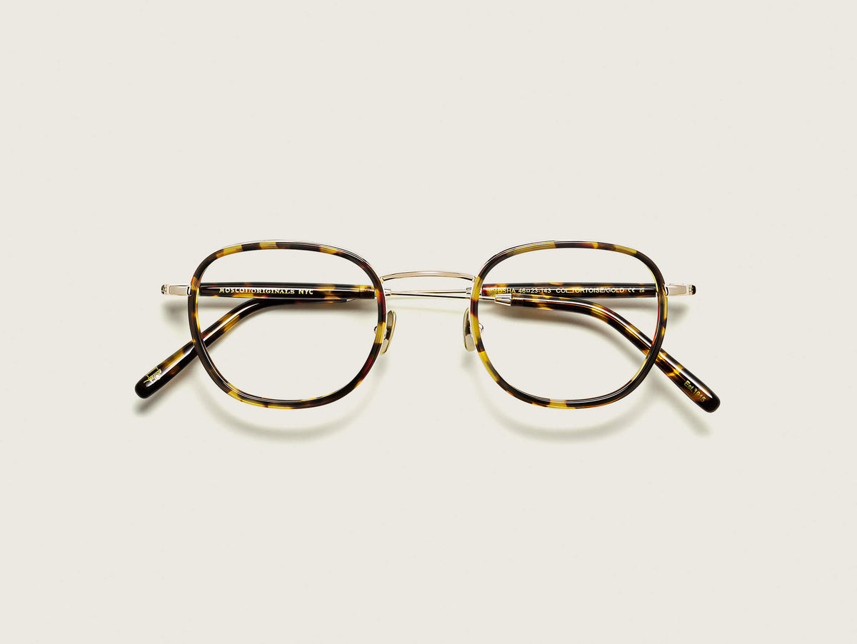 El MOSHA en Tortoise/Gold