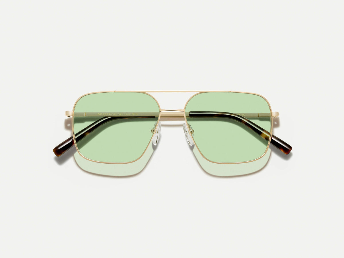 The SHTARKER in Gold with Limelight Tinted Lenses